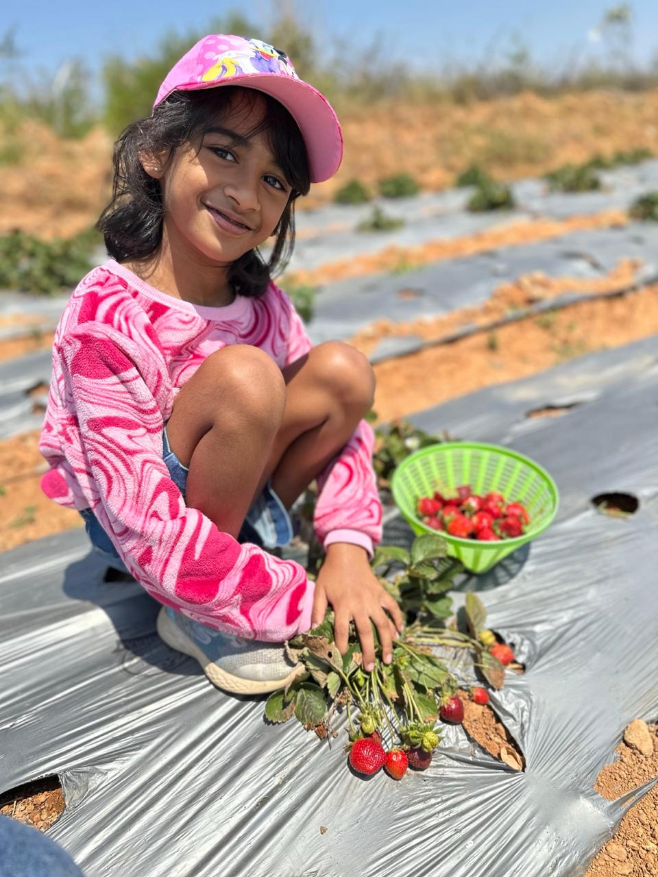 Outdoor discovery
